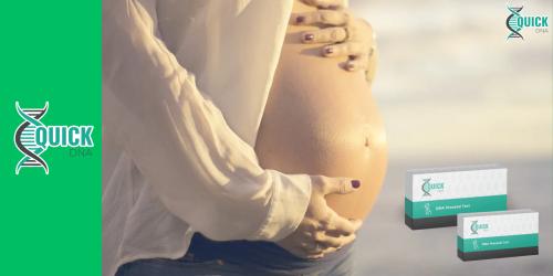 Peut-on réaliser un test de paternité prénatal pendant la grossesse ?